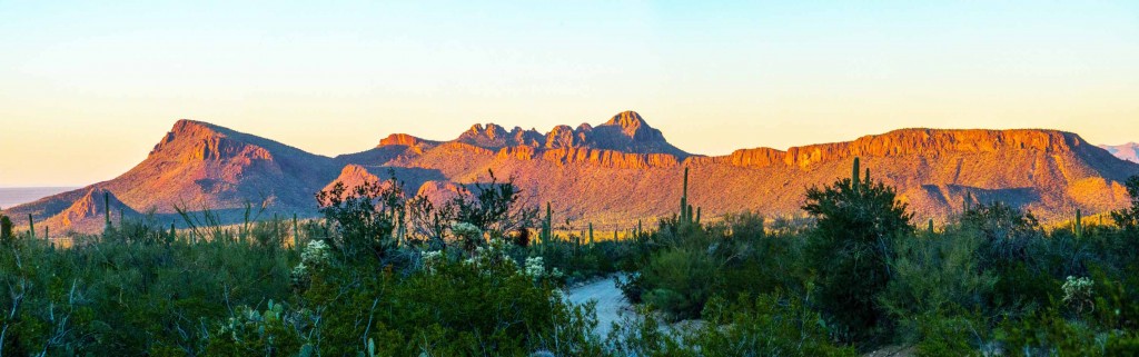 Panoramic: Picture Rocks glowing in the early evening light. Saguaro National Park (West).