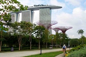 Supertrees and the Marina Sands Hotel