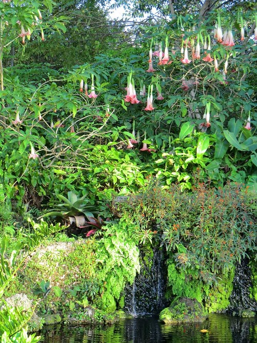Fairchild Tropical Botanic Garden Top Ten Garden