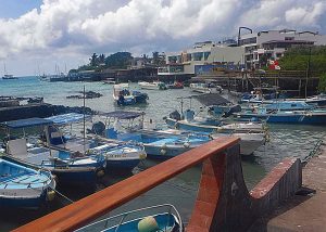 Galapagos: Puerto Ayora Harbour
